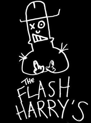 The Flash Harrys 2